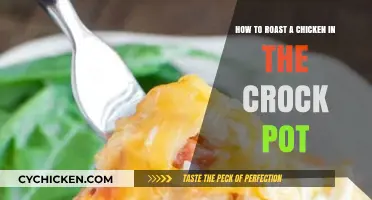 Slow-Cooked to Perfection: Crock Pot Chicken Roasting Guide