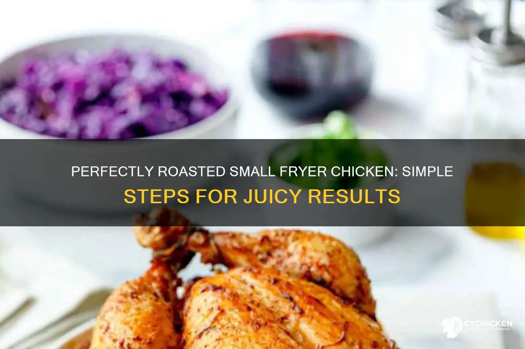 how to roast a small fryer chicken