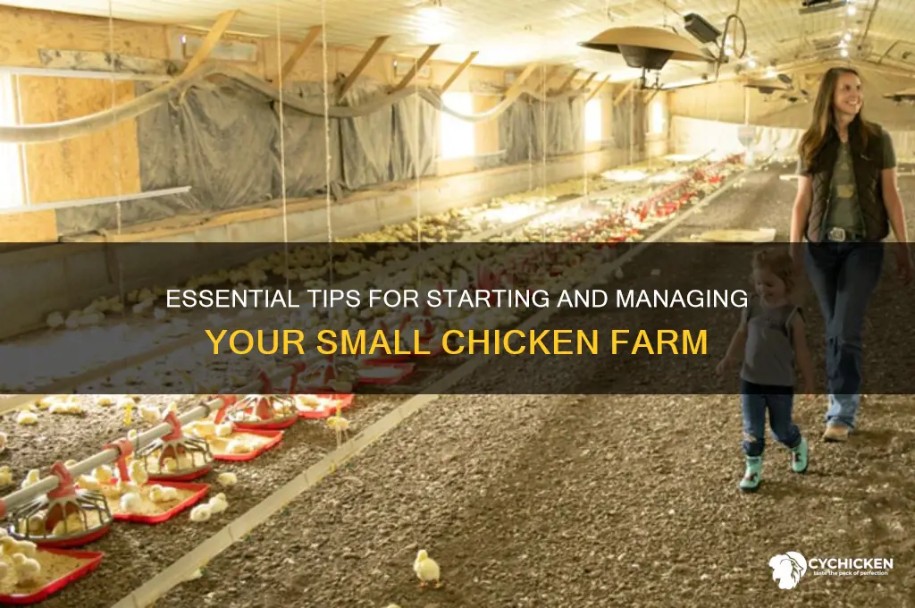 how to run a small chicken farm