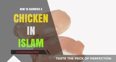 Halal Chicken Sacrifice: Islamic Guidelines for Humane and Ritual Slaughter