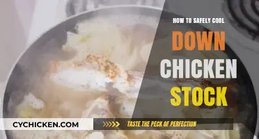 Quick and Safe Methods to Cool Chicken Stock Efficiently