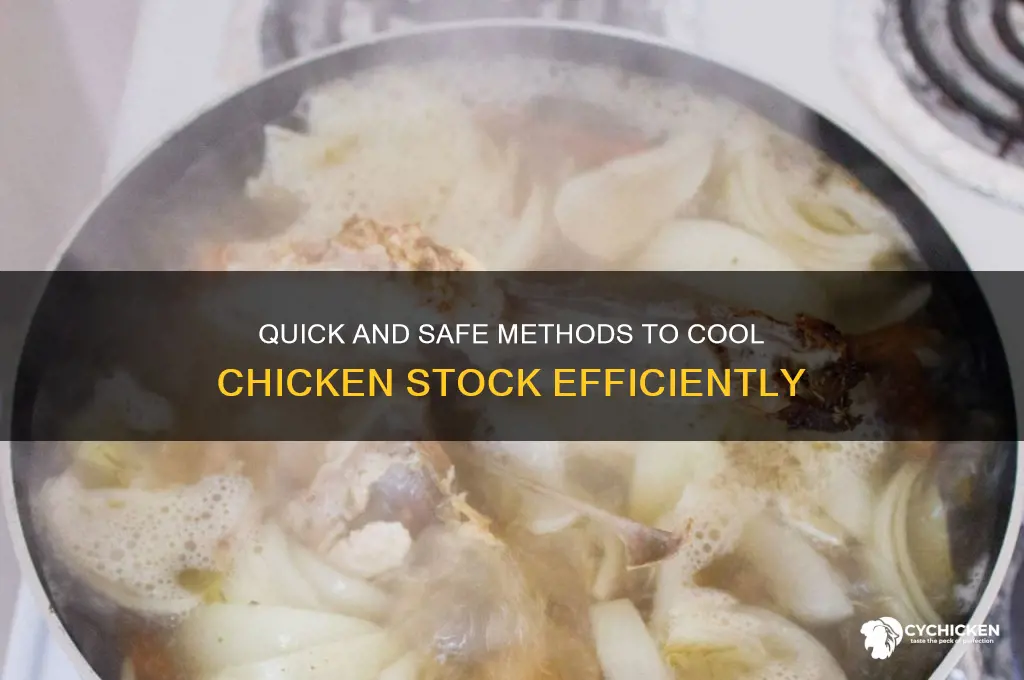 how to safely cool down chicken stock
