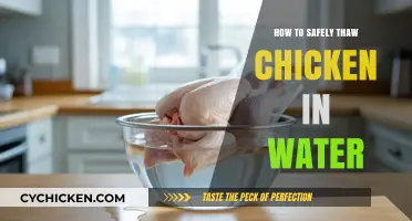 Quick and Safe Chicken Thawing: The Water Method Explained