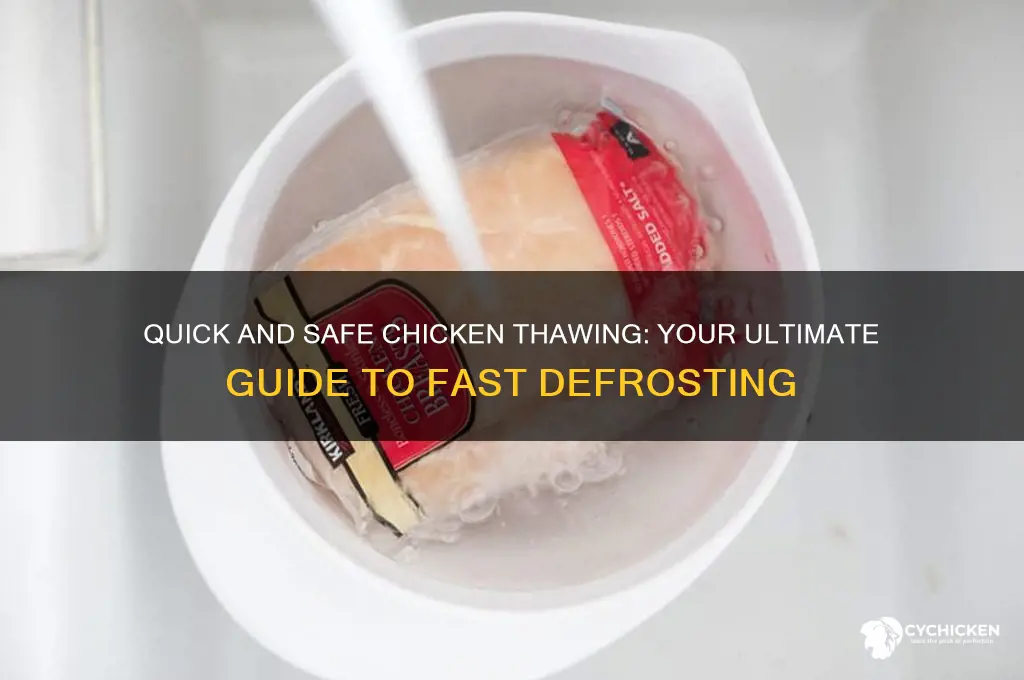 how to safely thaw out chicken fast
