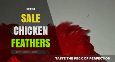 From Fluff to Funds: The Ultimate Guide to Selling Chicken Feathers