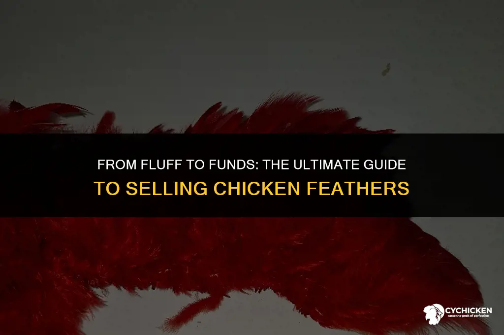 how to sale chicken feathers