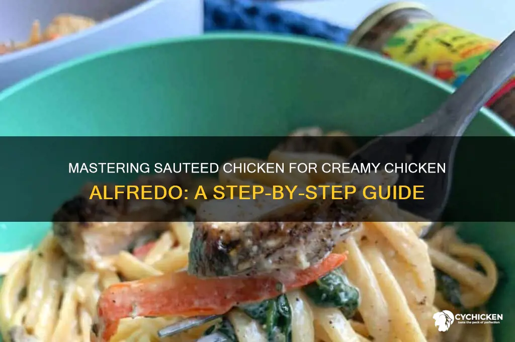 how to saute chicken for chicken alfredo