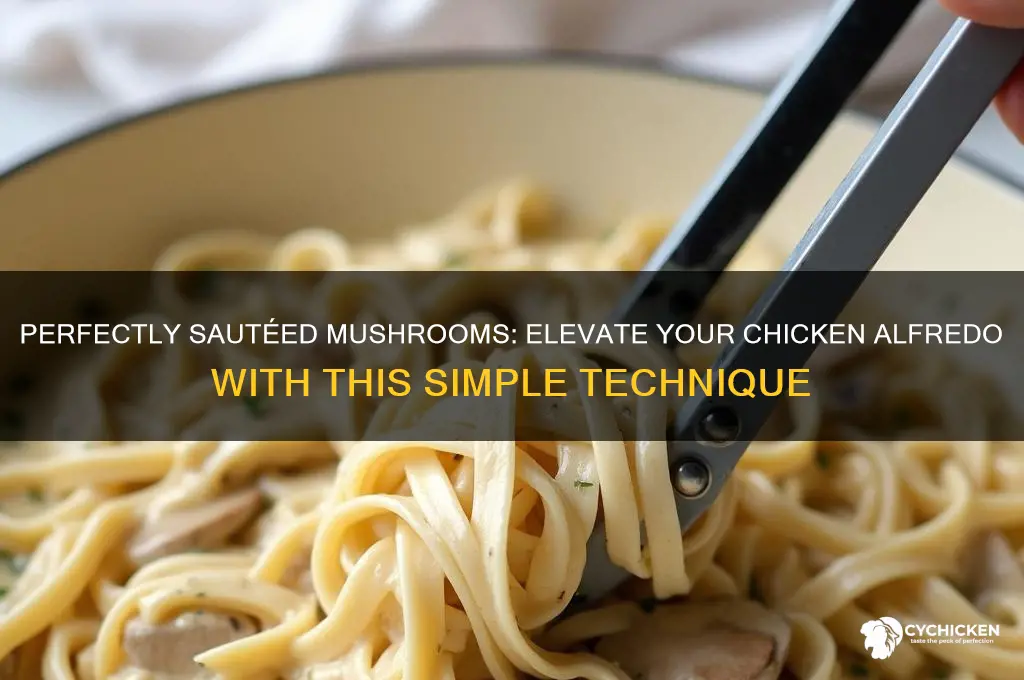 how to saute mushrooms for chicken alfredo