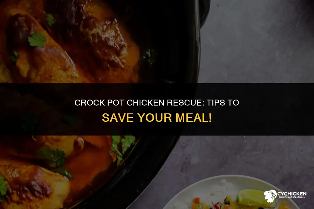 how to save all the chicken in crock pot