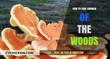 Preserving Chicken of the Woods: Tips for Storing and Saving This Wild Mushroom