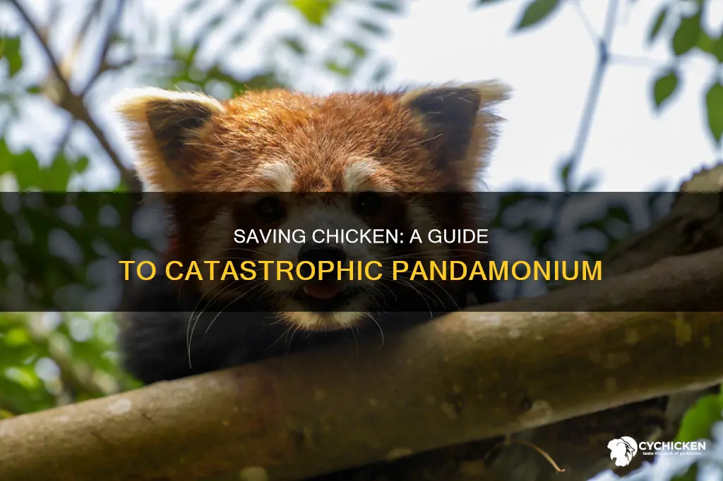how to save chicken the panda on catastrophic pandamonium