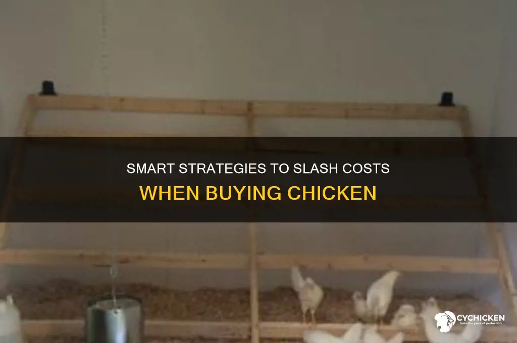 how to save money buying chicken
