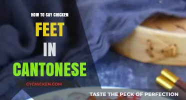 Cantonese Culinary Guide: Mastering the Term for Chicken Feet