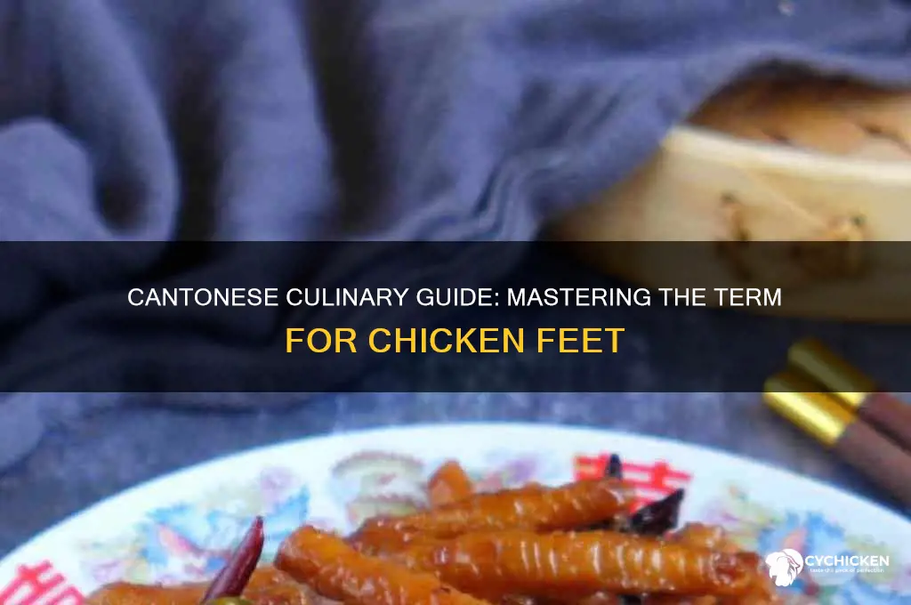 how to say chicken feet in cantonese