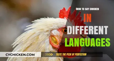 Cluck Around the Globe: Saying 'Chicken' in Various Languages