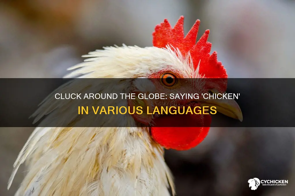 how to say chicken in different languages