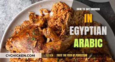 Mastering Egyptian Arabic: How to Say Chicken in the Local Dialect