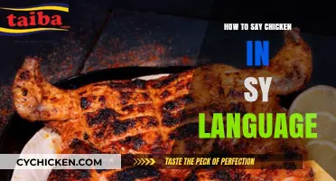 Mastering Syrian Arabic: How to Say Chicken in the Syrian Language