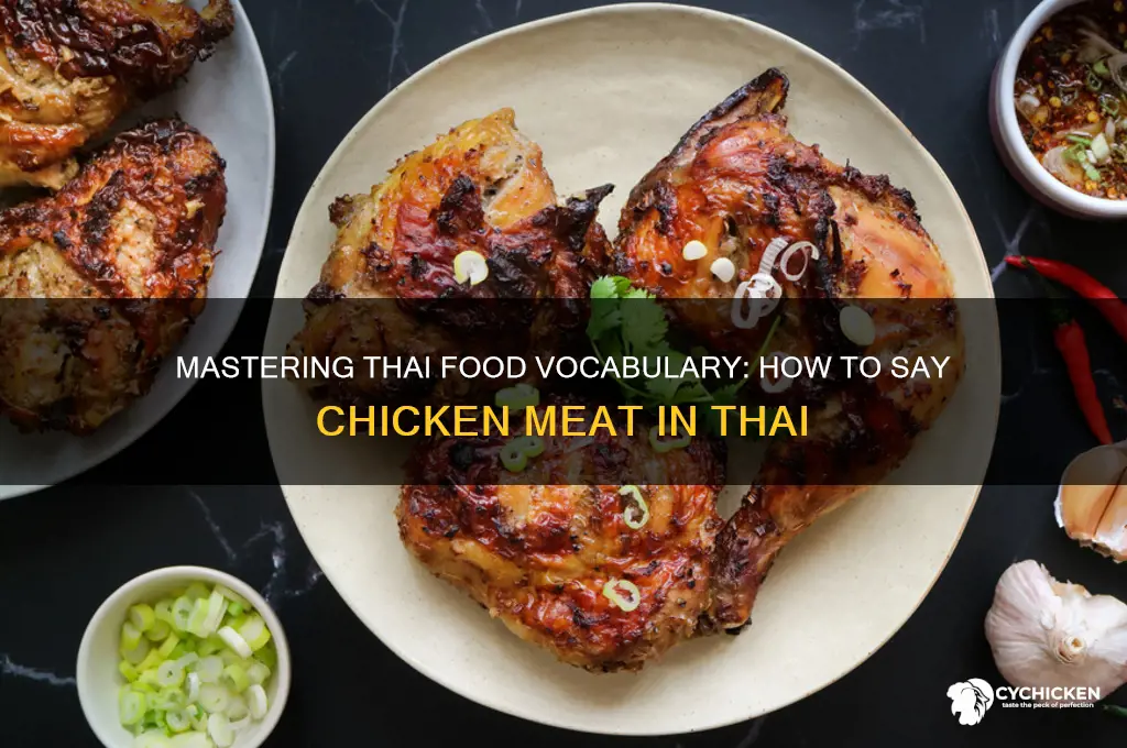 how to say chicken meat in thai