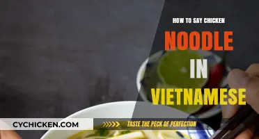 Mastering Vietnamese Cuisine: How to Say Chicken Noodle in Vietnamese