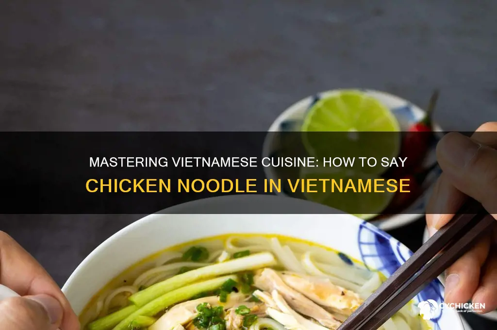 how to say chicken noodle in vietnamese