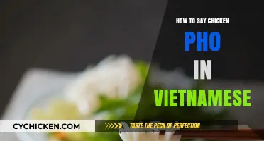 Mastering Vietnamese Cuisine: How to Say Chicken Pho in Vietnamese