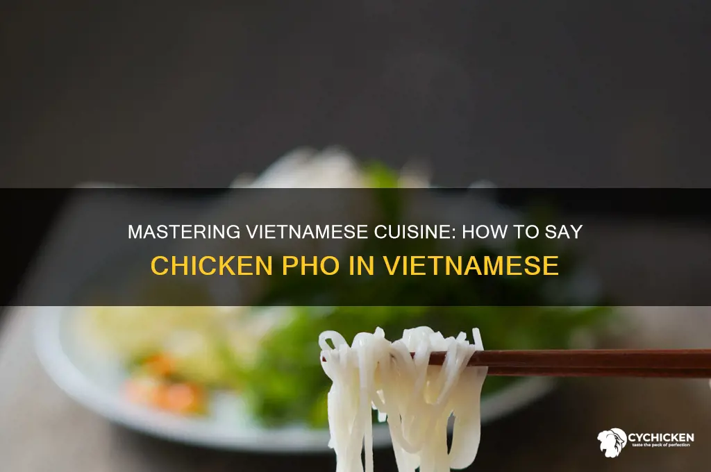 how to say chicken pho in vietnamese