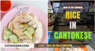 Mastering Cantonese: How to Say Chicken Rice Like a Local