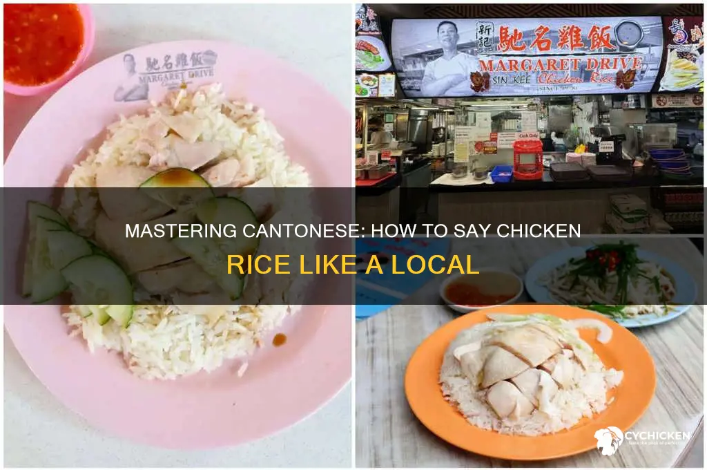 how to say chicken rice in cantonese