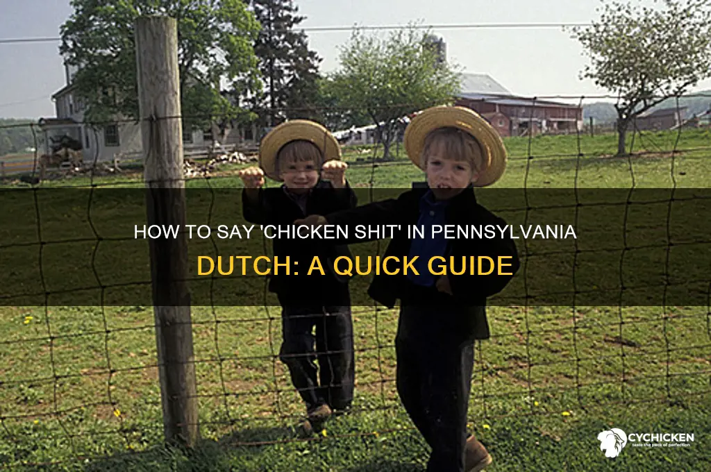 how to say chicken shit in pa dutch