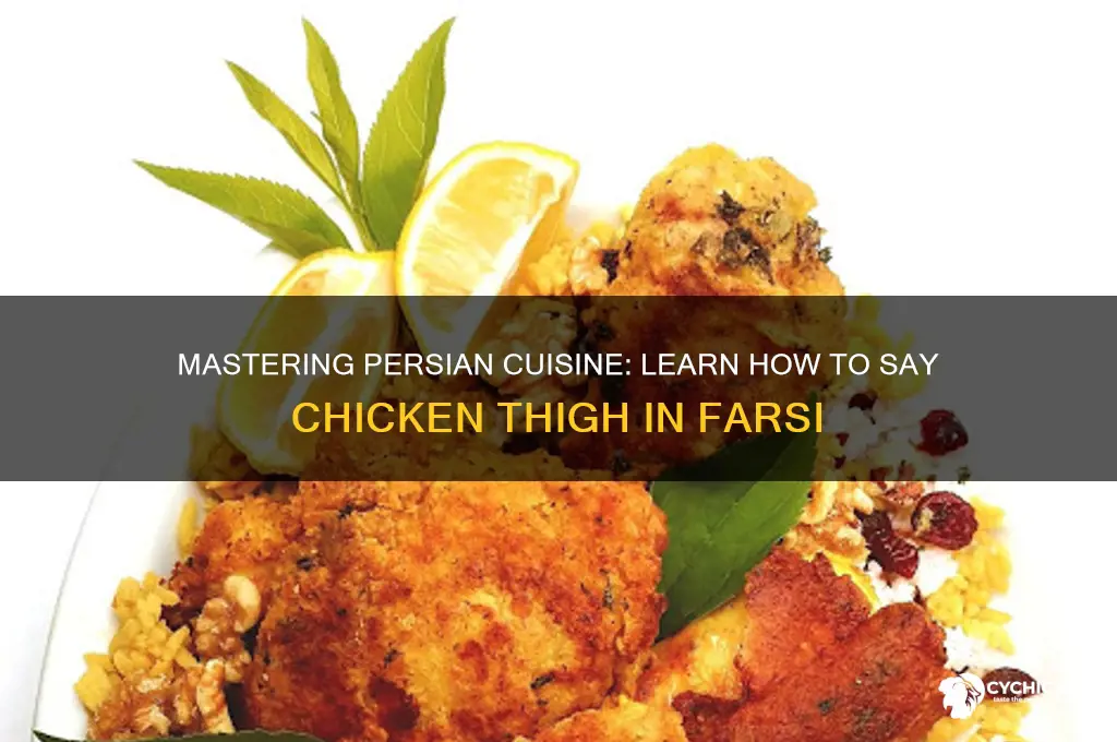 how to say chicken thigh in persian