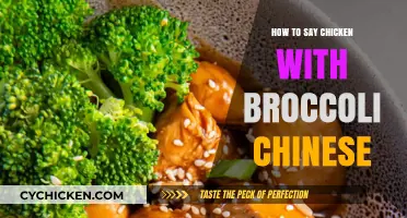 Mastering Chinese Cuisine: How to Say Chicken with Broccoli in Mandarin