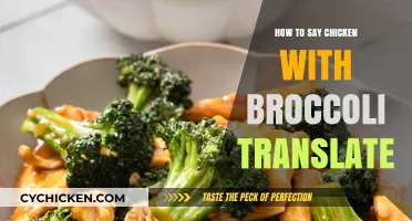 Mastering Chicken with Broccoli: Translation Tips for Global Food Lovers