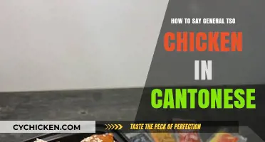 Mastering Cantonese: How to Say General Tso Chicken Properly