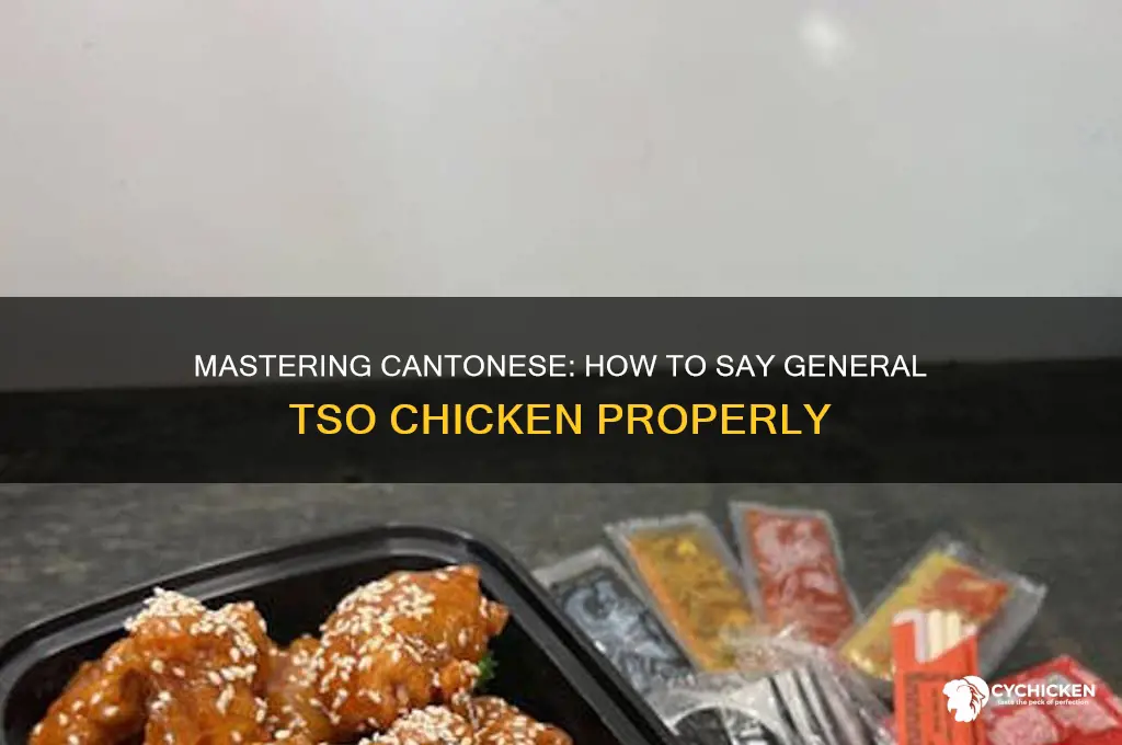 how to say general tso chicken in cantonese