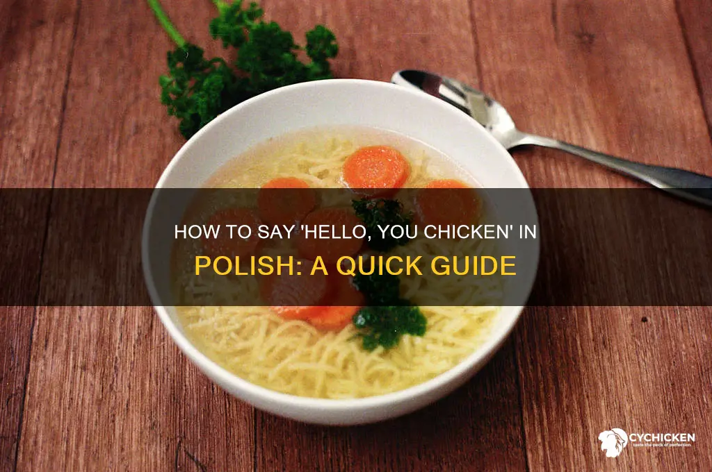 how to say hello you chicken in polish