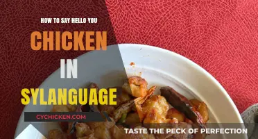 Greeting Guide: Say 'Hello, You Chicken' in Sylanguage Easily