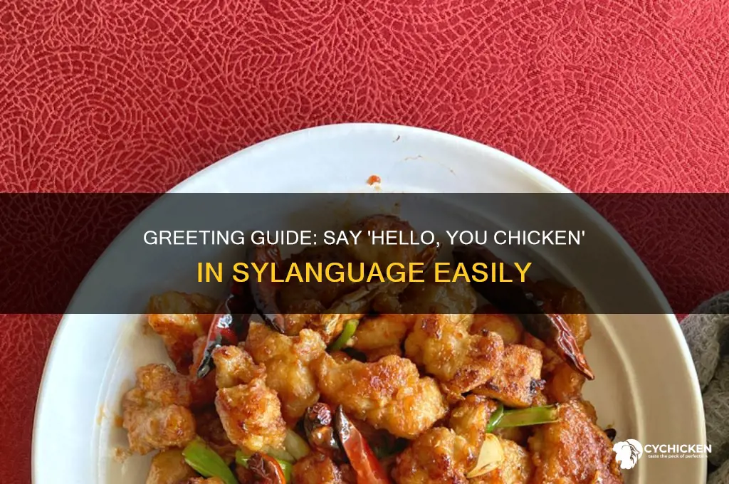 how to say hello you chicken in sylanguage