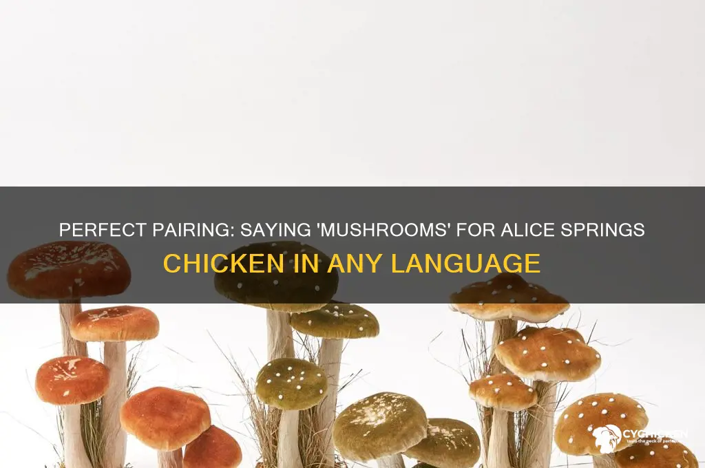 how to say mushrooms for alice springs chicken