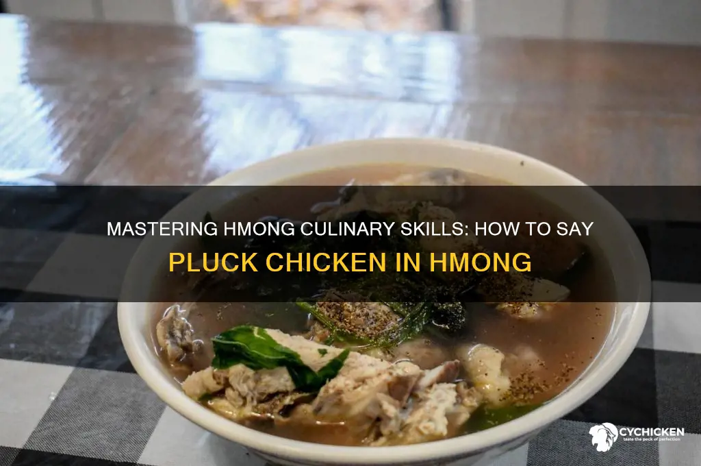 how to say pluck chicken in hmong