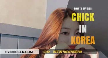 Understanding Korean Slang: How to Refer to a Side Chick in Korea