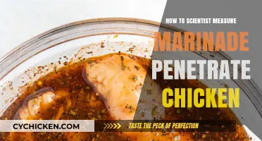 Measuring Marinade Penetration in Chicken: Scientific Techniques Explained