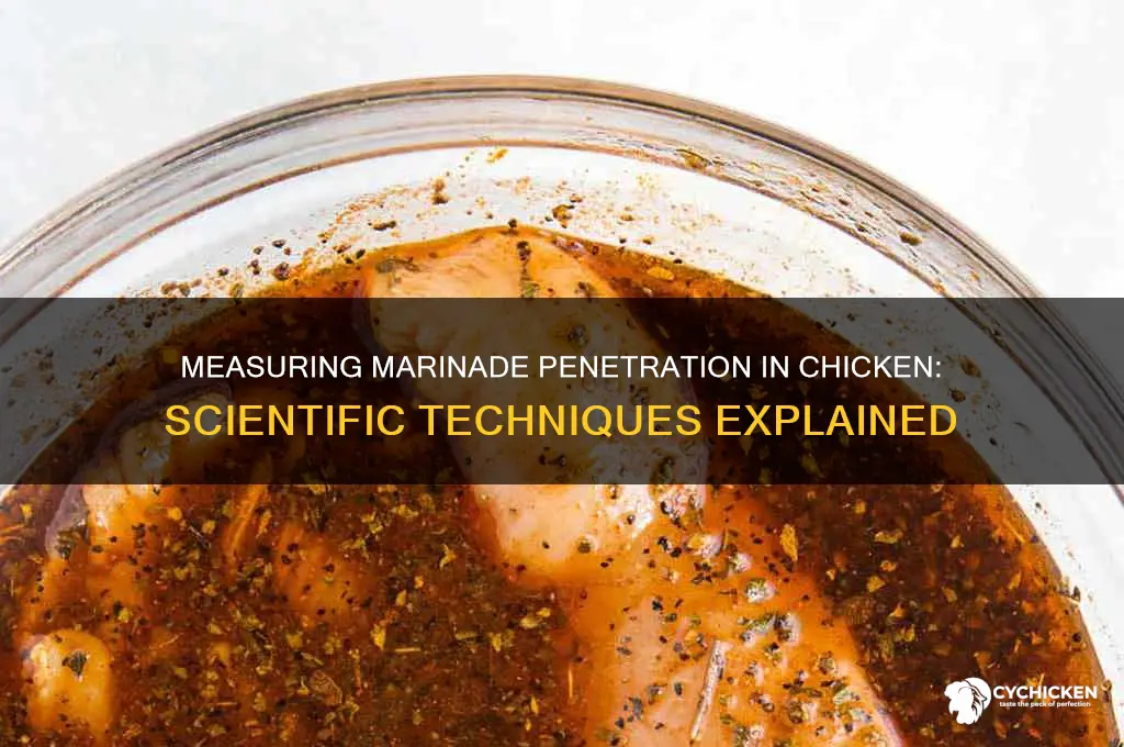 how to scientist measure marinade penetrate chicken