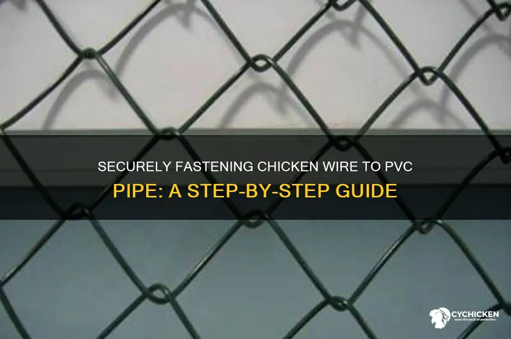 how to screw chicken wire to pvc pipe