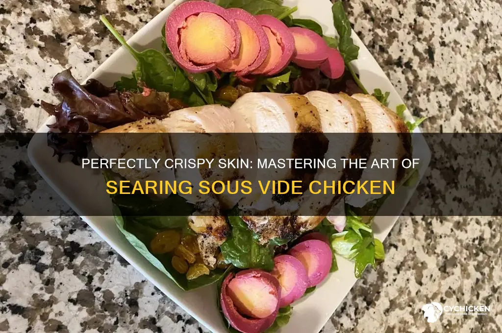 how to sear chicken after sous vide