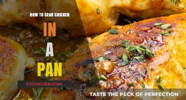 Mastering the Perfect Pan-Seared Chicken: Tips and Techniques