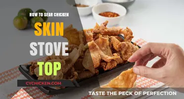Mastering Crispy Chicken Skin: Stove-Top Searing Techniques Revealed
