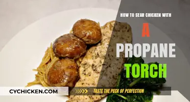 Mastering the Art of Searing Chicken with a Propane Torch