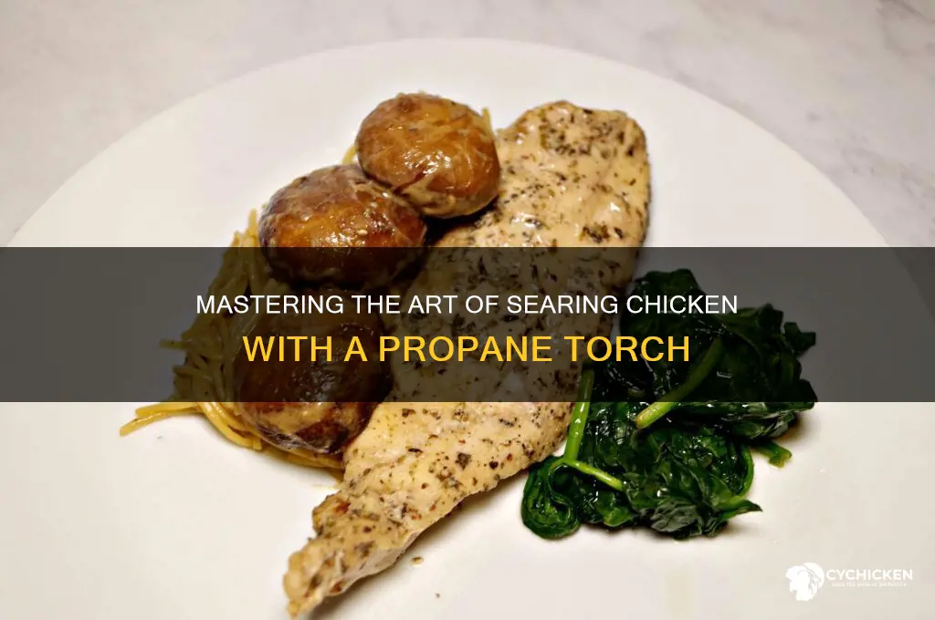 how to sear chicken with a propane torch