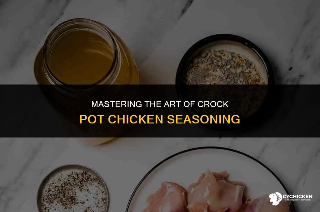 how to season a chicken in the crock pot